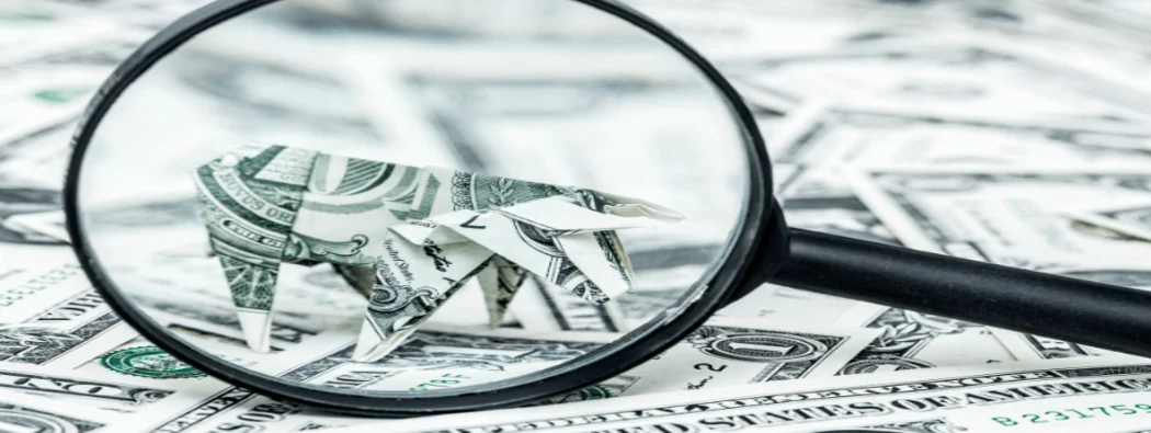 What is a Bull Market: A definitive guide