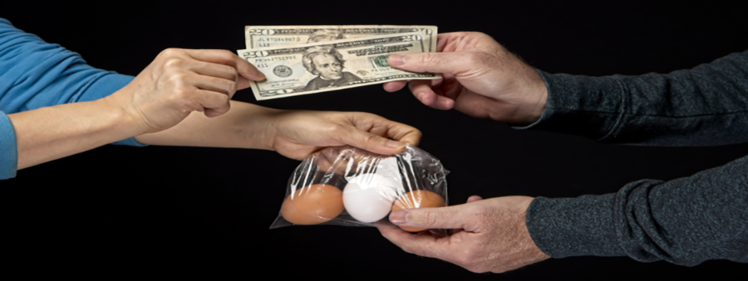 Celebrando el crecimiento: cómo los precios de los huevos aumentaron un 300 % en 3 años