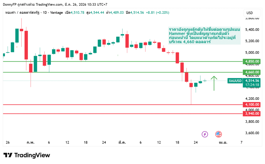 กราฟวิเคราะห์ทองคำ XAUUSD กรอบเวลา Daily แสดงแนวโน้มขาลง แต่เกิดสัญญาณ Hammer มีโอกาสรีบาวด์ขึ้นสู่แนวต้าน 4,660 ดอลลาร์