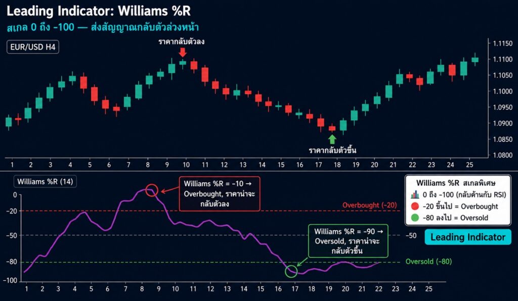 Leading Indicator Williams %R วัดโซน Overbought Oversold ใน Forex